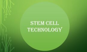 Referensi Template PowerPoint Stem Cell Desain Terbaik Untuk Membuat Presentasi dengan Baik
