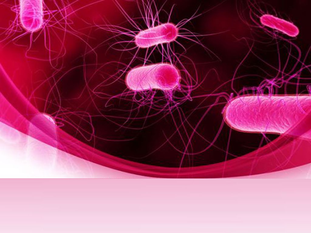 Rekomendasi Template PowerPoint Bacteria Terupdate Guna Membuat Presentasi dengan Baik